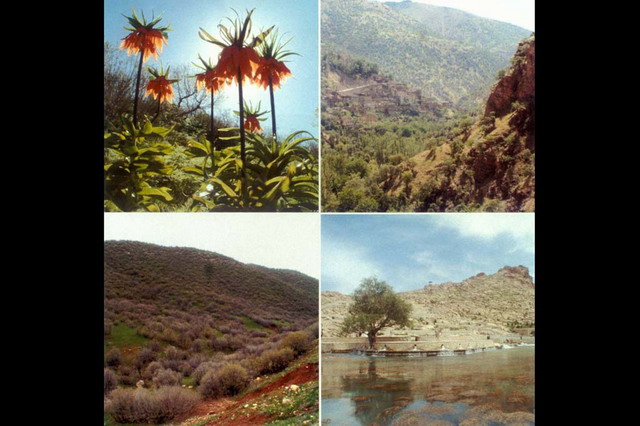 Improvement of Uramanat Region