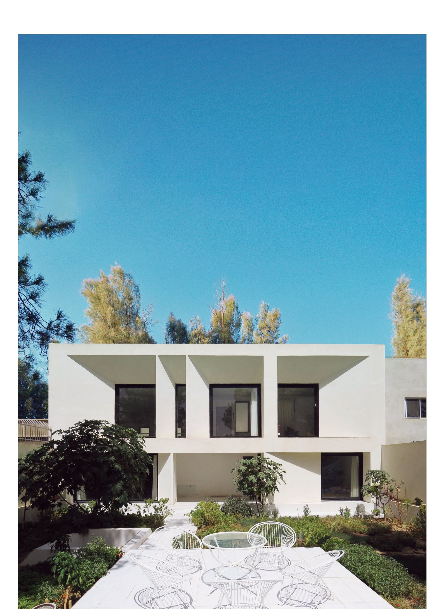 A House Between Two Pines