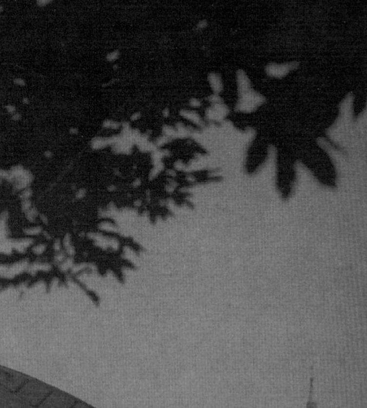 Ali Hamidi Moghaddam