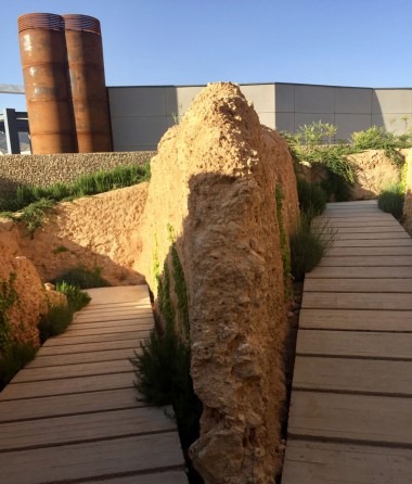 Cafe Gallery | convention center (GreenLand) in Sadra