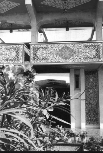 داوید اوشانا in تهران